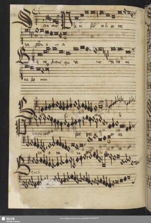 [Anon.: Messe: Sanctus und Agnus Dei]