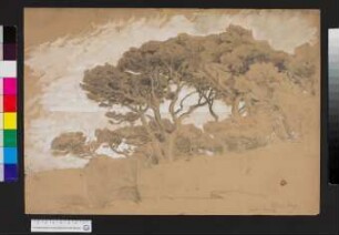 Landschaft: "Sestri Levante"