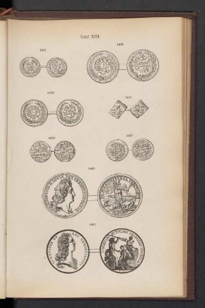 Tafel XIII.