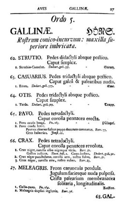 Ordo 5. Gallinae