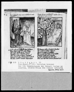 Zwei Schriften — Speculum humanae salvationis — Textseite mit zwei Miniaturen, Folio 53verso