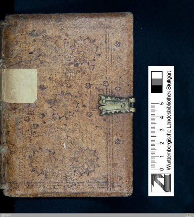 Psalterium latinum cum canticis