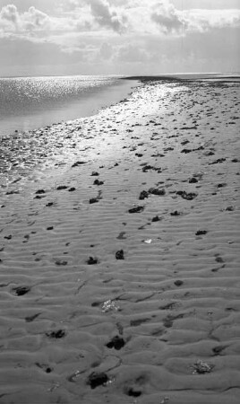 Landschaft im Watt
