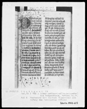Liber ordinarius — Gerahmte Initiale D(ominica) mit anschließender Zierleiste, Folio 8recto