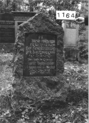 Grabstein 1164