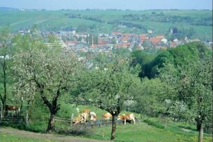 Ortsansicht; vorn Kühe