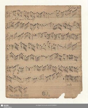 Violino 1mo.