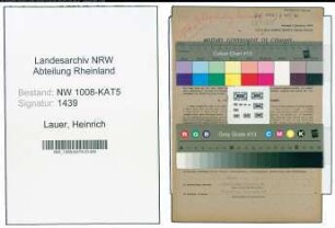 Entnazifizierung Heinrich Lauer , geb. 17.09.1886 (Techn.Angestellter)