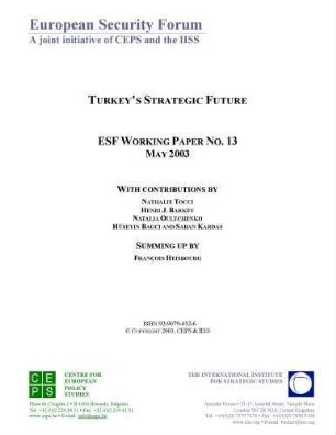 Turkey's Strategic Future