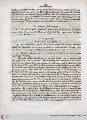 IV: Aeufsere Bedeckungen