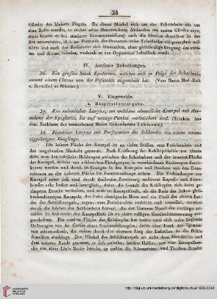 IV: Aeufsere Bedeckungen