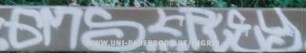 GMS REY