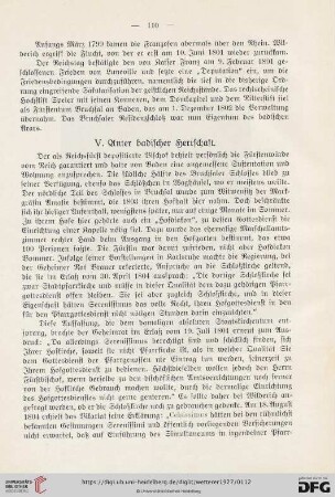 V. Unter badischer Herrschaft
