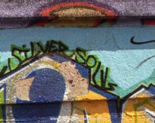 SiLVER SoUL