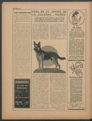 Cuál es el orígen de la palabra "perro"