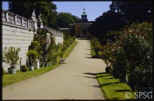Potsdam, Park Sanssouci, Sizilianischer Garten.