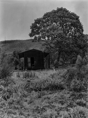 Holzhütte : Holzhütte im Schatten eines Baumes