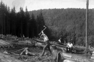 Waldarbeiter beim "Stöck machen"