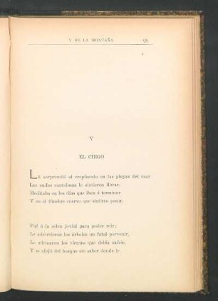 V - El ciego