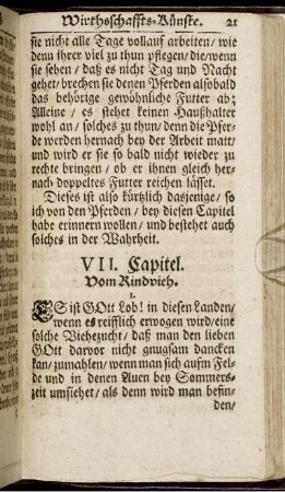 VII. Capitel.
