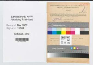 Entnazifizierung Max Schmidt, geb. 04.09.1901 (Steuerhelfer)