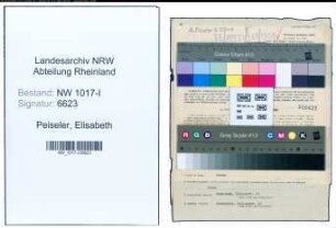 Entnazifizierung Elisabeth Peiseler , geb. 16.09.1900 (Kauffrau)