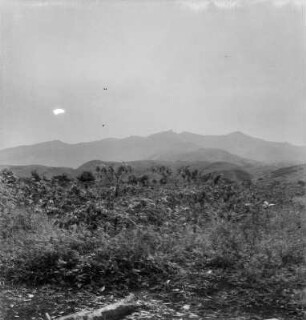 Panoramaaufnahme (Kamerunreise 1937)