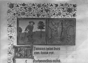 Stundenbuch Karls V. — Monatsblatt Juni mit Tierkreiszeichen Krebs, Folio 198