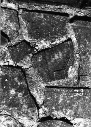 Grabstein 98 (Index: 99796507) Material: Sandstein Zustand: verwittert Maße HxBxT: 0x0x0 cm Beschreibung: Stele, Konvexbogenabschluß Symbolik: Blüte: Grabstein 98 (2)