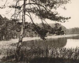 Berlin-Grunewald. Ansicht des Grunewaldsee´s