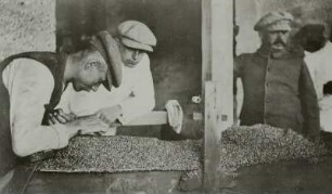 Diamantensortierer : Namibia (ehem. Südwestafrika), Diamantensortierer am Arbeitsplatz, vor 1945