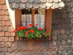 Dachfenster, von der Stadtmauer gesehen