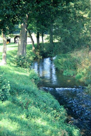 Flusslauf in Schlossnähe mit Begleitgrün