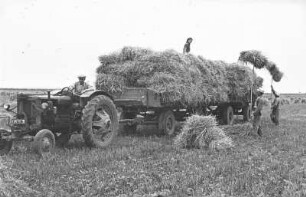 Fotografie: Strohbergung, Standardtraktor, Zweiachsanhänger