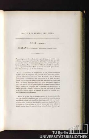 Traité des arbres fruitiers. Noix a bijoux. Juglans ornatorum, fructu maximo, compresso, bilobo.
