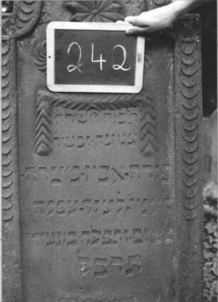 Grabstein 242 (Index: 99894688) Material: Sandstein Zustand: gut Maße HxBxT: 130x57x10 cm Beschreibung: Stele mit eingezogenem Rundbogenabschluss Symbolik: vielzackiger Stern, Girlande, Rosette, Schuppenmuster: Grabstein 242 (3)