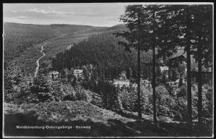 Waldbärenburg. Heuweg