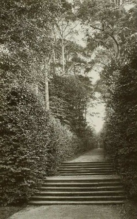 Heidenau-Großsedlitz. Barockgarten Großsedlitz (1719/1727). Blick durch den Kieferngang nach dem Standbild der "Juno"