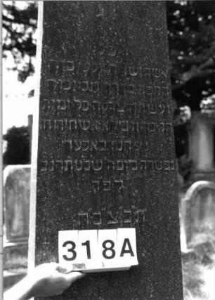 Grabstein 318 (Index: 100085215) Maße HxBxT: 205x72x52 cm Beschreibung: Obelisk, getreppter Sockel: Grabstein 318A