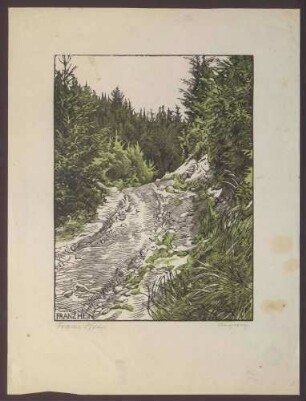 "Bergweg"