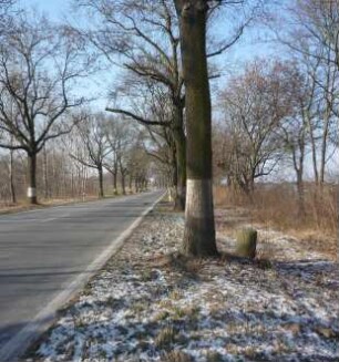 Kliestow, Frankfurt (Oder), Berliner Chaussee