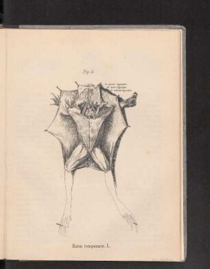 Fig. 15.