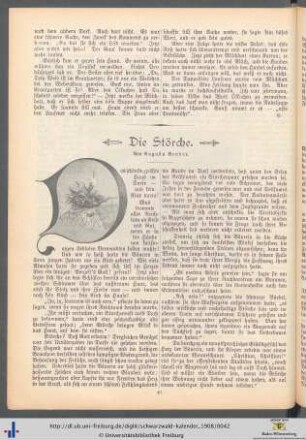 Die Störche.