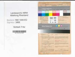 Entnazifizierung Fritz Schleef, geb. 15.02.1907 (Ingenieur)