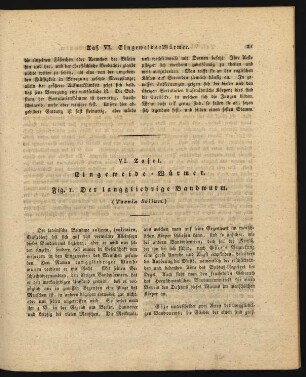 VI. Tafel. Eingeweide - Wuermer.