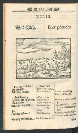 [XXVIII. Wild-Vieh. - LIII. Die Fleisch-Banck.]