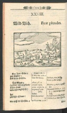 [XXVIII. Wild-Vieh. - LIII. Die Fleisch-Banck.]