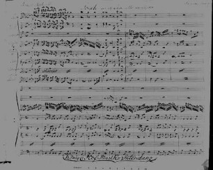 Sonatas, cl, strings, fag (2), cor (2), op.33, F-Dur - BSB Mus.ms. 1807 : [label on cover:] Sonate // per il Clarinetto // pricipale // da // Enrico Baermann