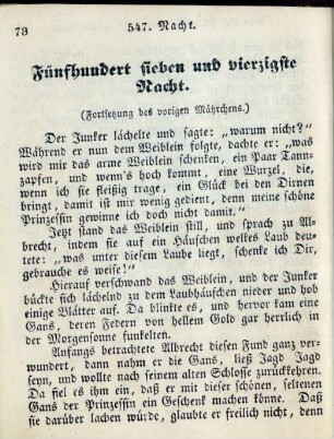 Fünfhundert sieben und vierzigste Nacht