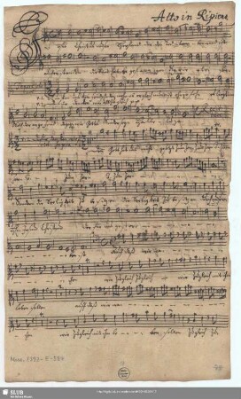 Alto in Ripieno. [transp.]